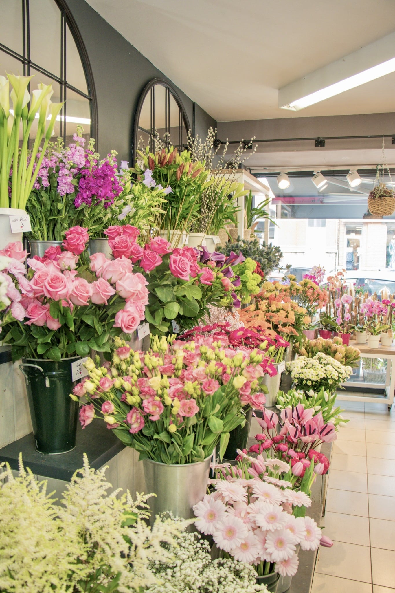 fleurs-fraiches